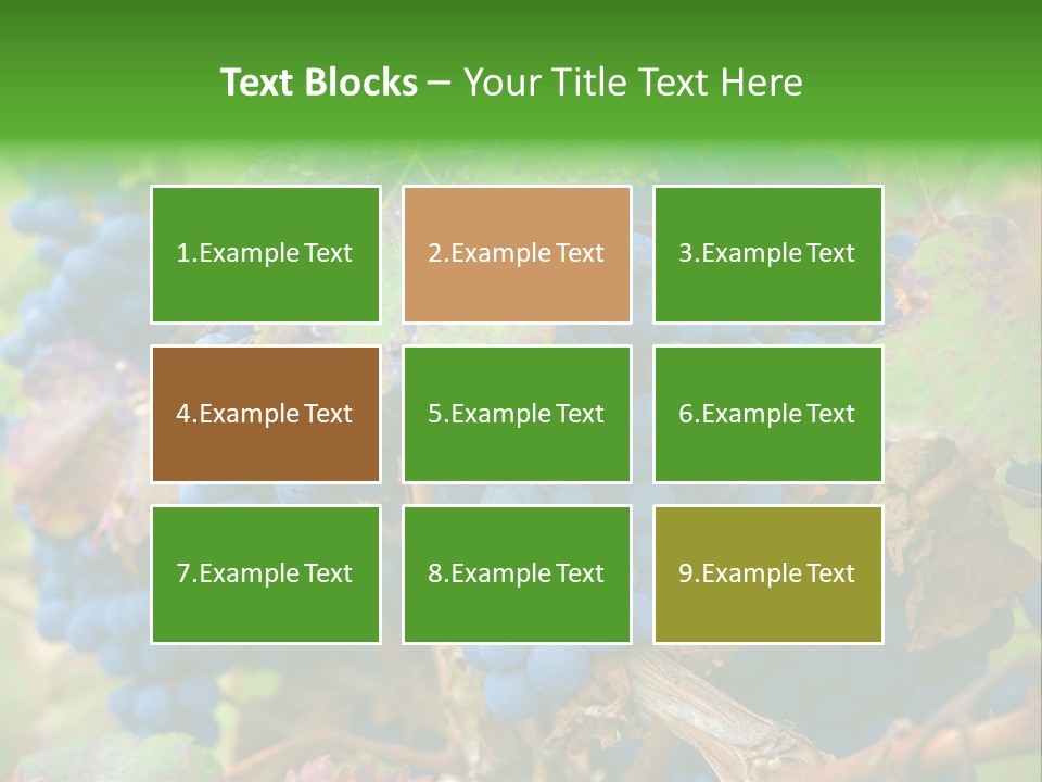 Variety Sweet Mendoza PowerPoint Template