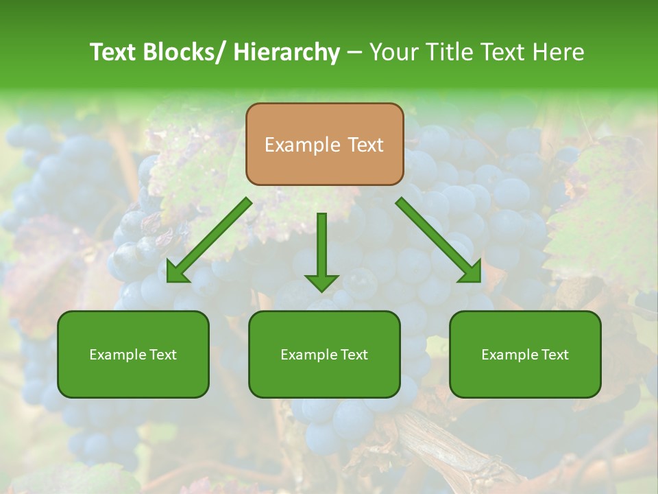 Variety Sweet Mendoza PowerPoint Template