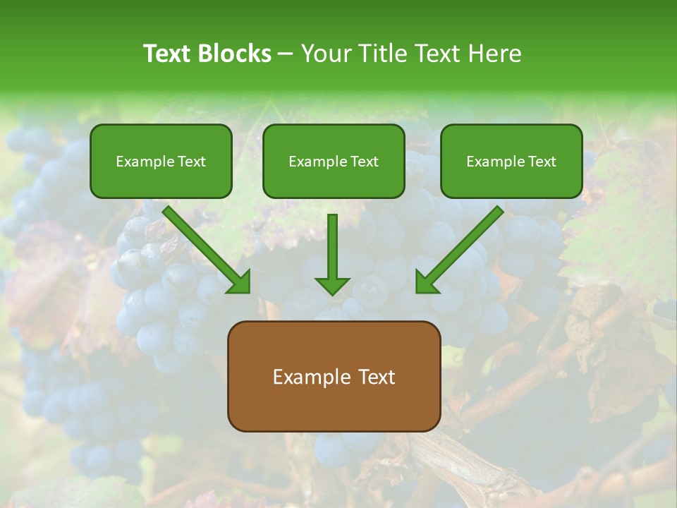 Variety Sweet Mendoza PowerPoint Template