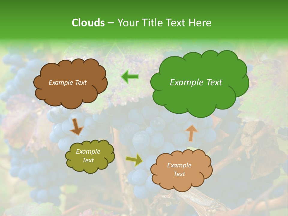Variety Sweet Mendoza PowerPoint Template