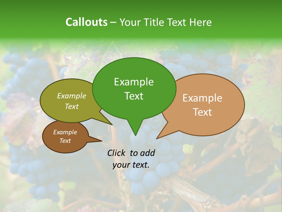 Variety Sweet Mendoza PowerPoint Template
