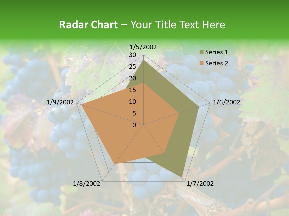 Variety Sweet Mendoza PowerPoint Template