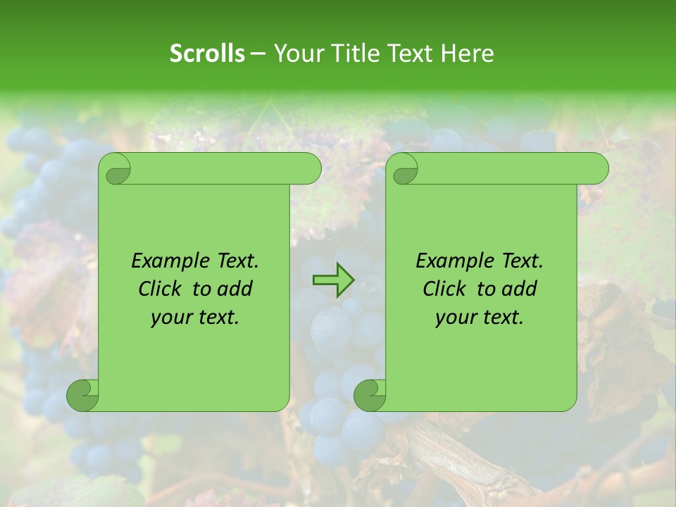 Variety Sweet Mendoza PowerPoint Template