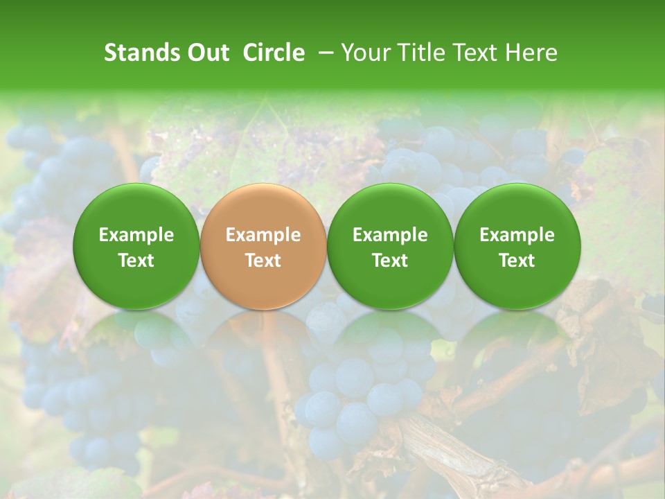 Variety Sweet Mendoza PowerPoint Template