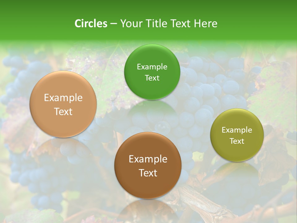 Variety Sweet Mendoza PowerPoint Template