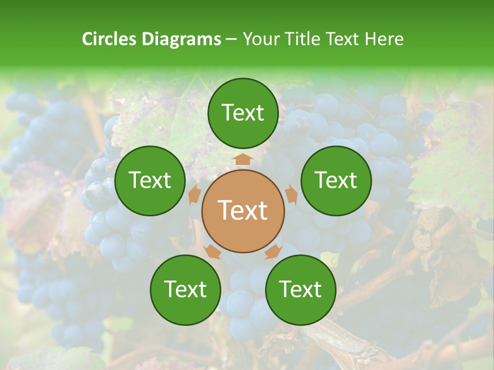 Variety Sweet Mendoza PowerPoint Template