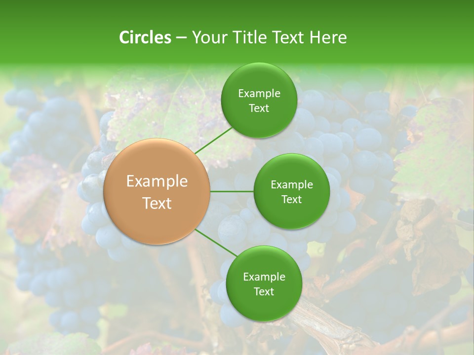 Variety Sweet Mendoza PowerPoint Template