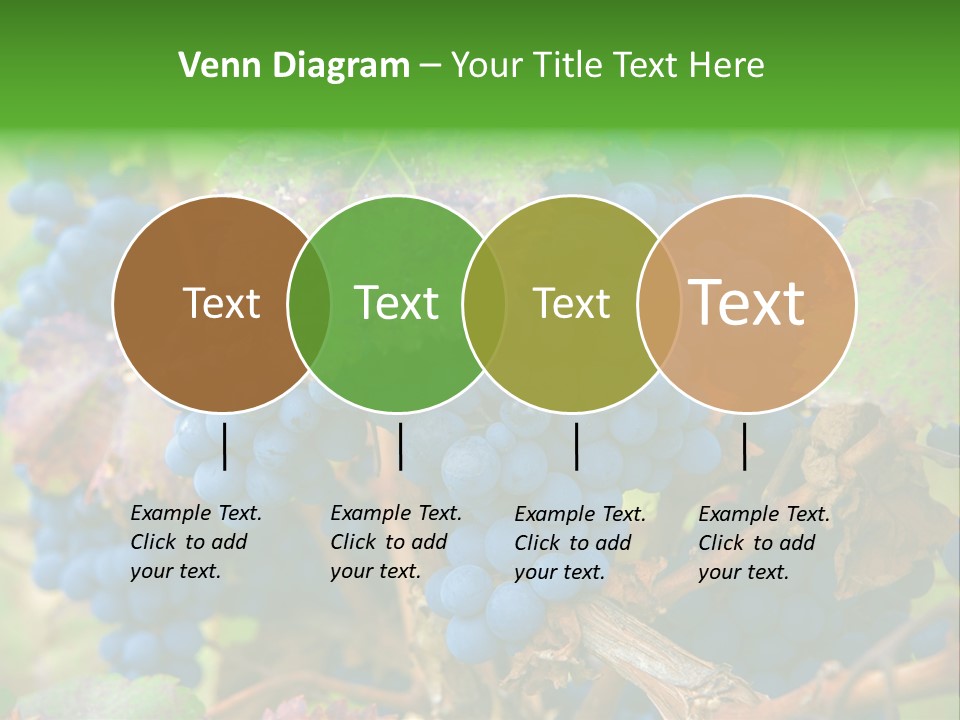 Variety Sweet Mendoza PowerPoint Template