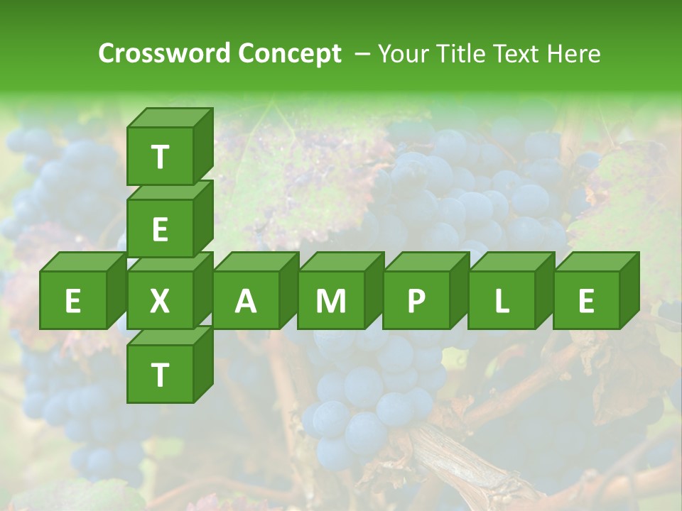 Variety Sweet Mendoza PowerPoint Template