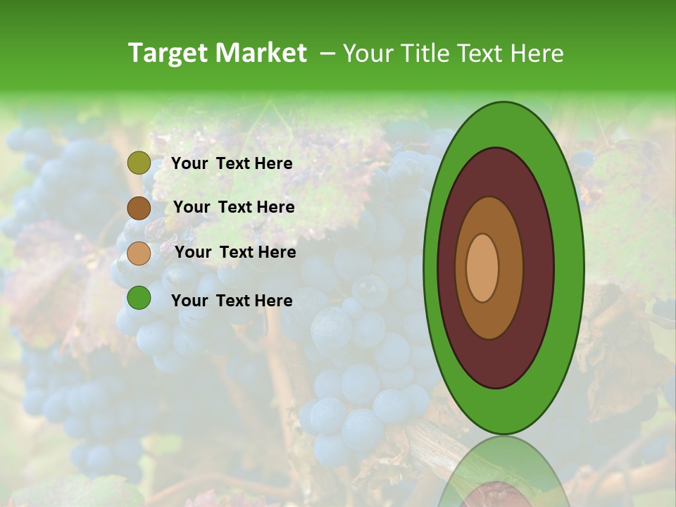 Variety Sweet Mendoza PowerPoint Template