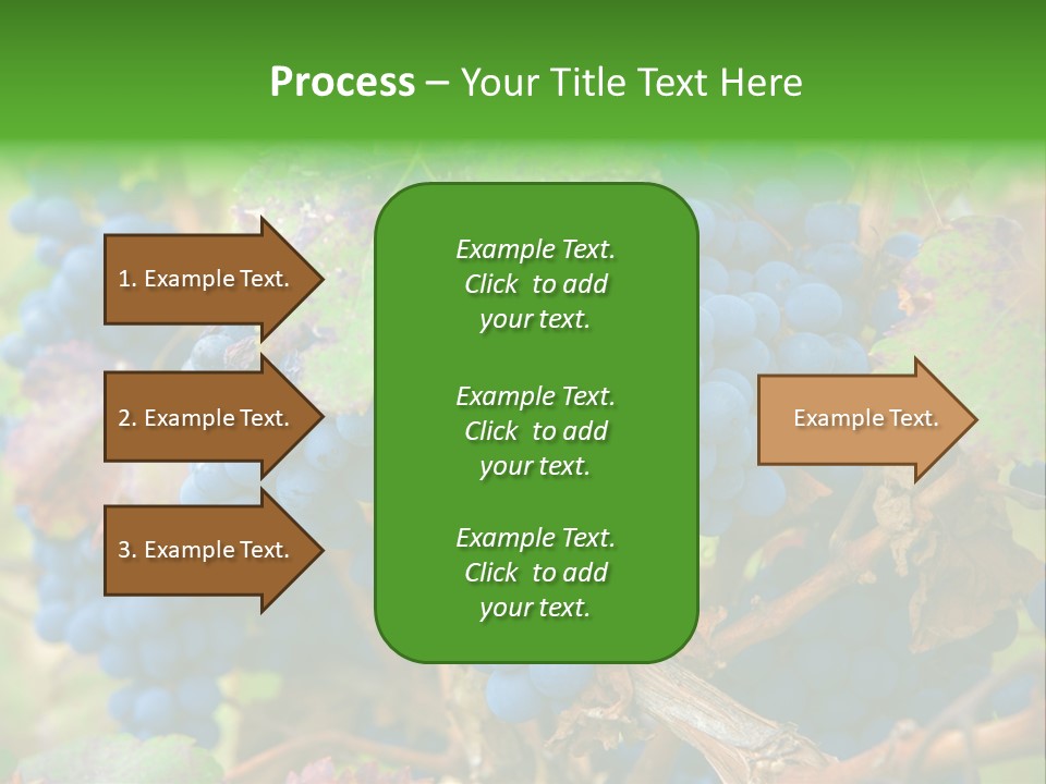 Variety Sweet Mendoza PowerPoint Template