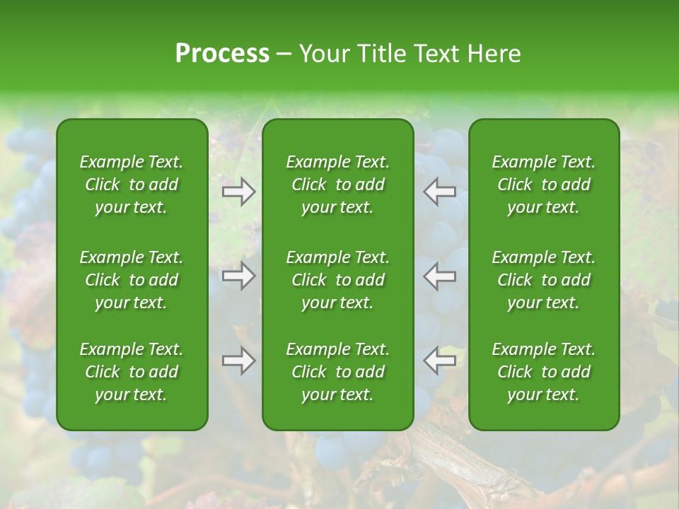 Variety Sweet Mendoza PowerPoint Template