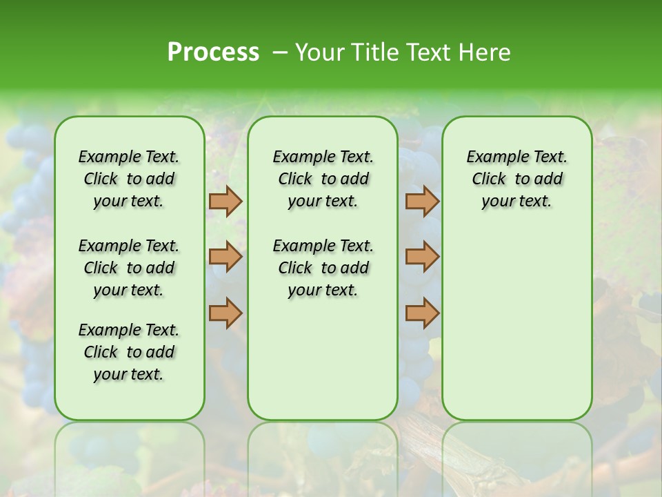 Variety Sweet Mendoza PowerPoint Template