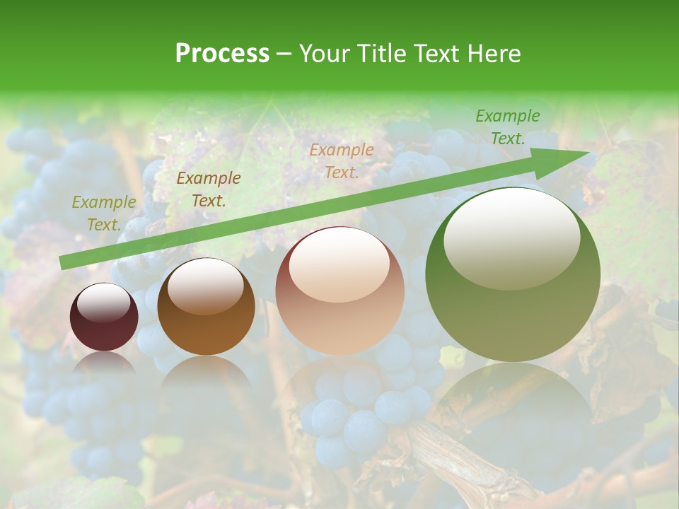 Variety Sweet Mendoza PowerPoint Template