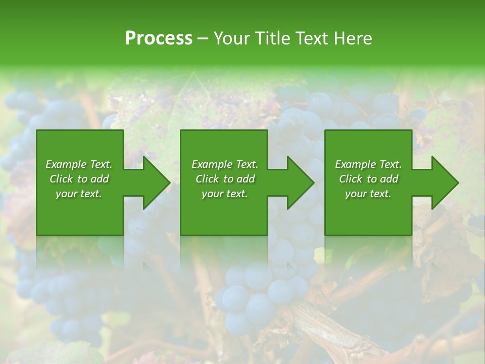 Variety Sweet Mendoza PowerPoint Template