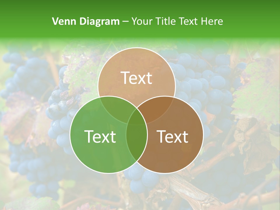 Variety Sweet Mendoza PowerPoint Template