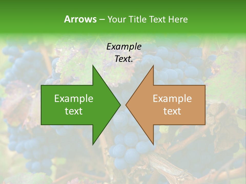 Variety Sweet Mendoza PowerPoint Template