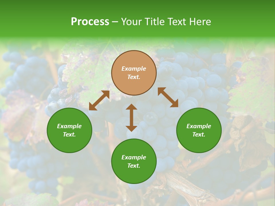 Variety Sweet Mendoza PowerPoint Template