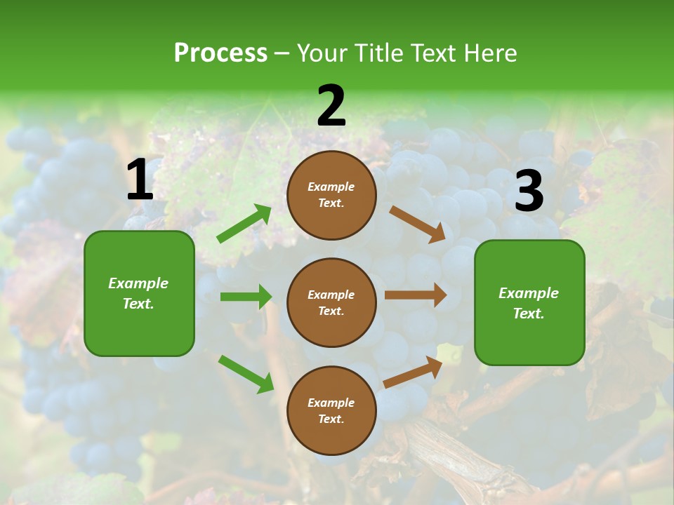 Variety Sweet Mendoza PowerPoint Template