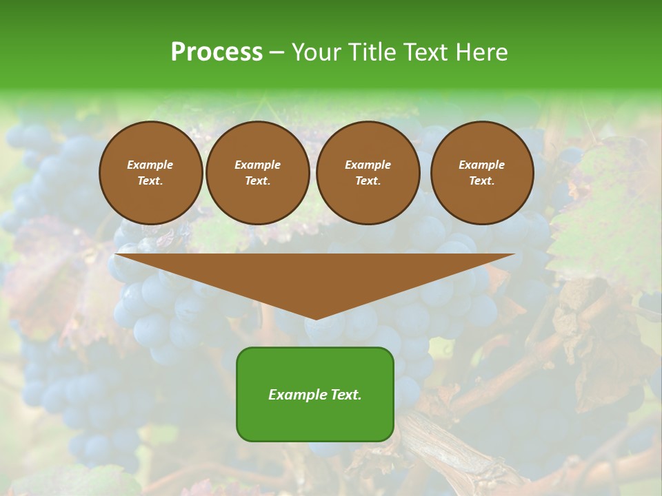 Variety Sweet Mendoza PowerPoint Template