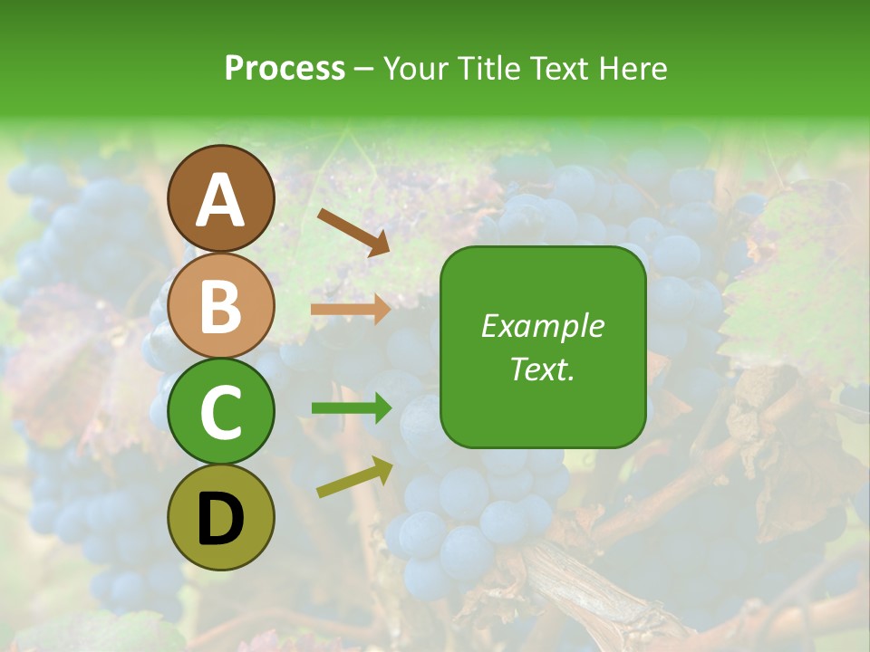 Variety Sweet Mendoza PowerPoint Template