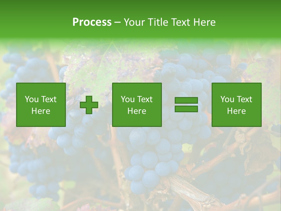 Variety Sweet Mendoza PowerPoint Template