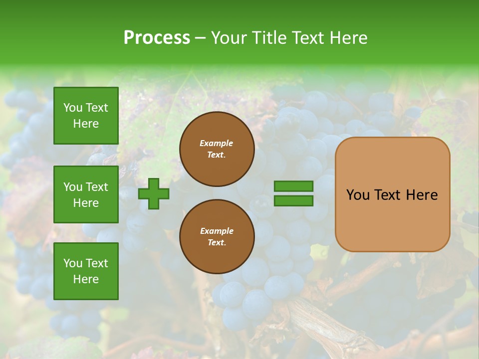 Variety Sweet Mendoza PowerPoint Template
