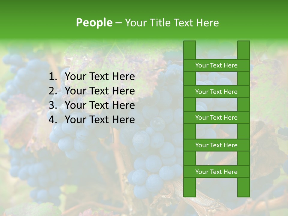 Variety Sweet Mendoza PowerPoint Template