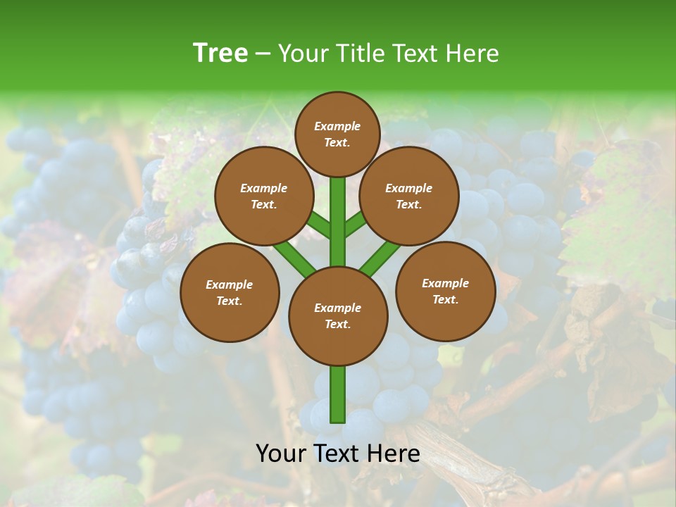 Variety Sweet Mendoza PowerPoint Template