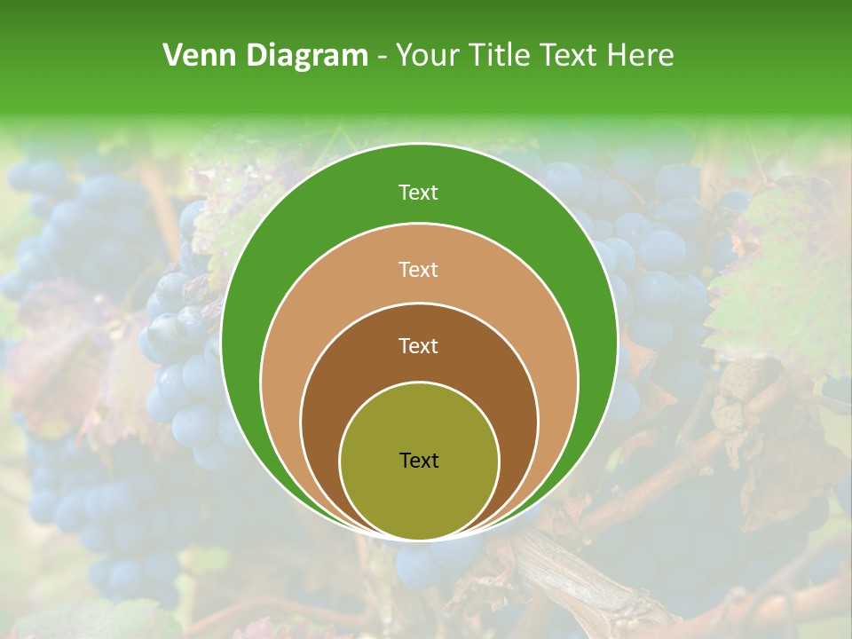 Variety Sweet Mendoza PowerPoint Template