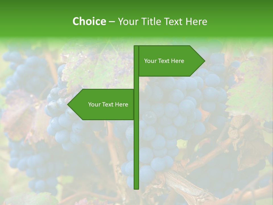 Variety Sweet Mendoza PowerPoint Template