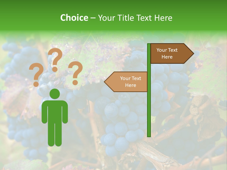 Variety Sweet Mendoza PowerPoint Template