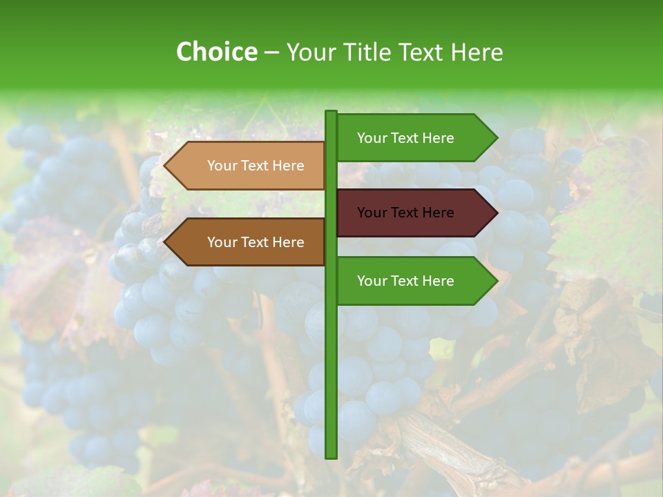 Variety Sweet Mendoza PowerPoint Template