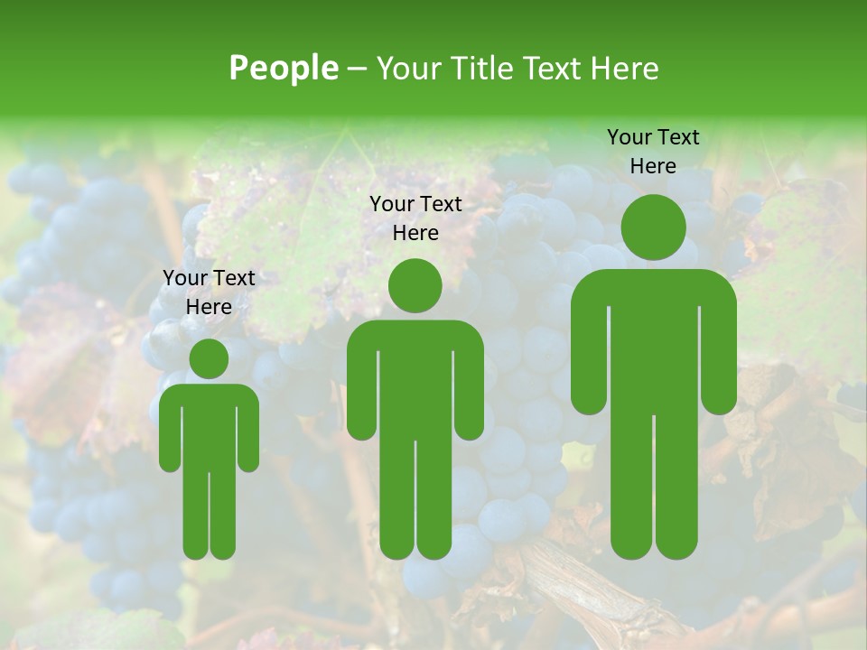 Variety Sweet Mendoza PowerPoint Template