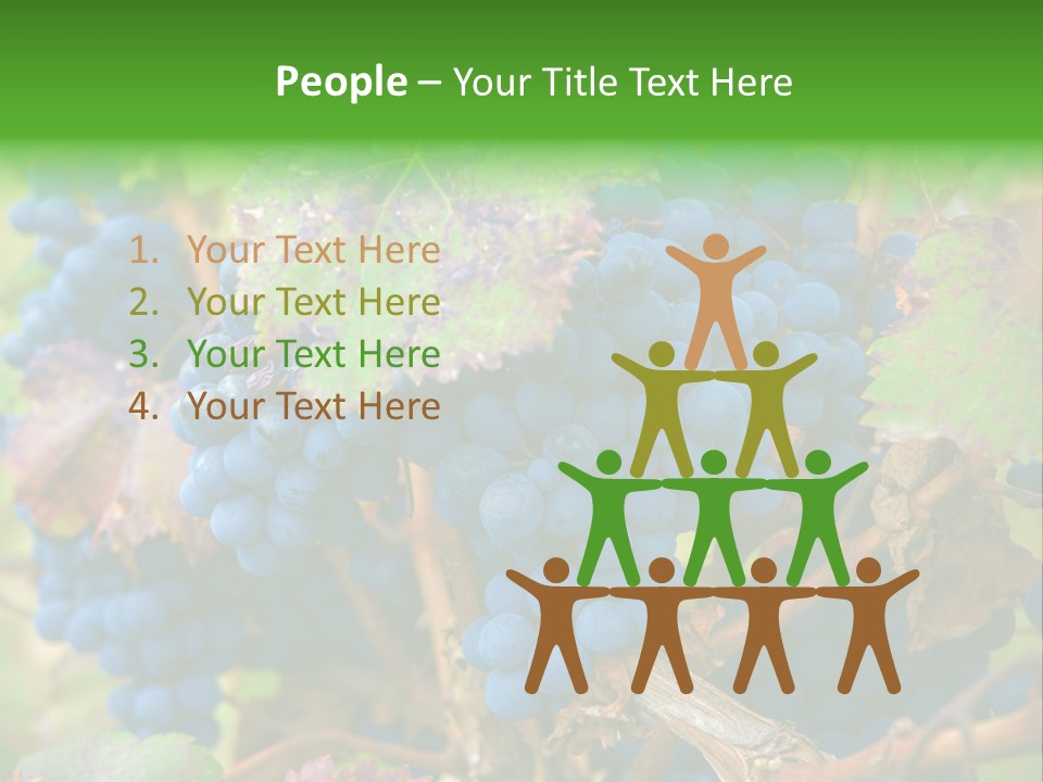 Variety Sweet Mendoza PowerPoint Template