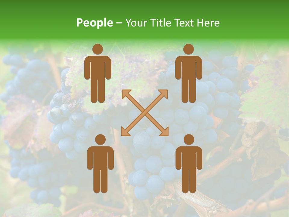 Variety Sweet Mendoza PowerPoint Template