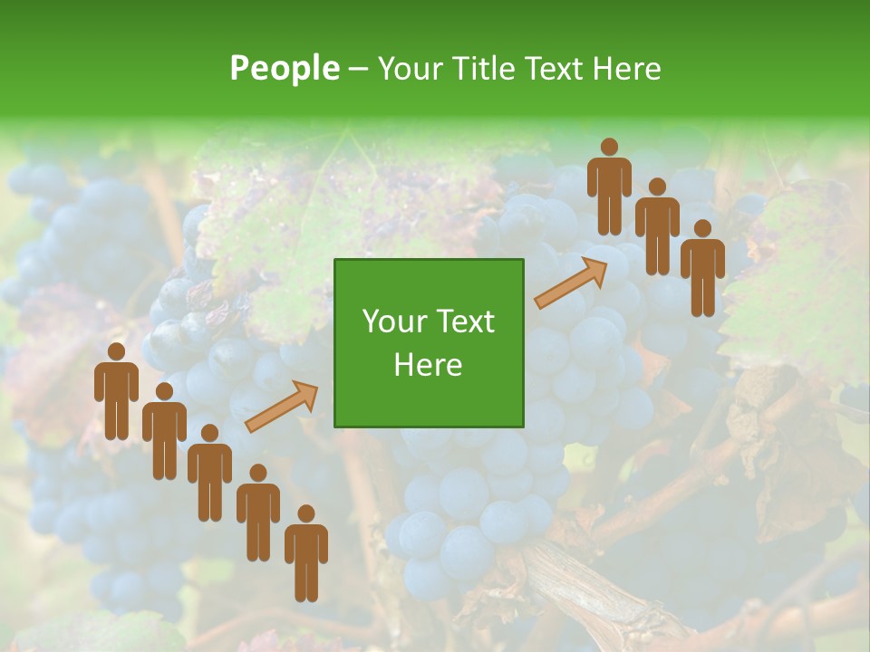 Variety Sweet Mendoza PowerPoint Template