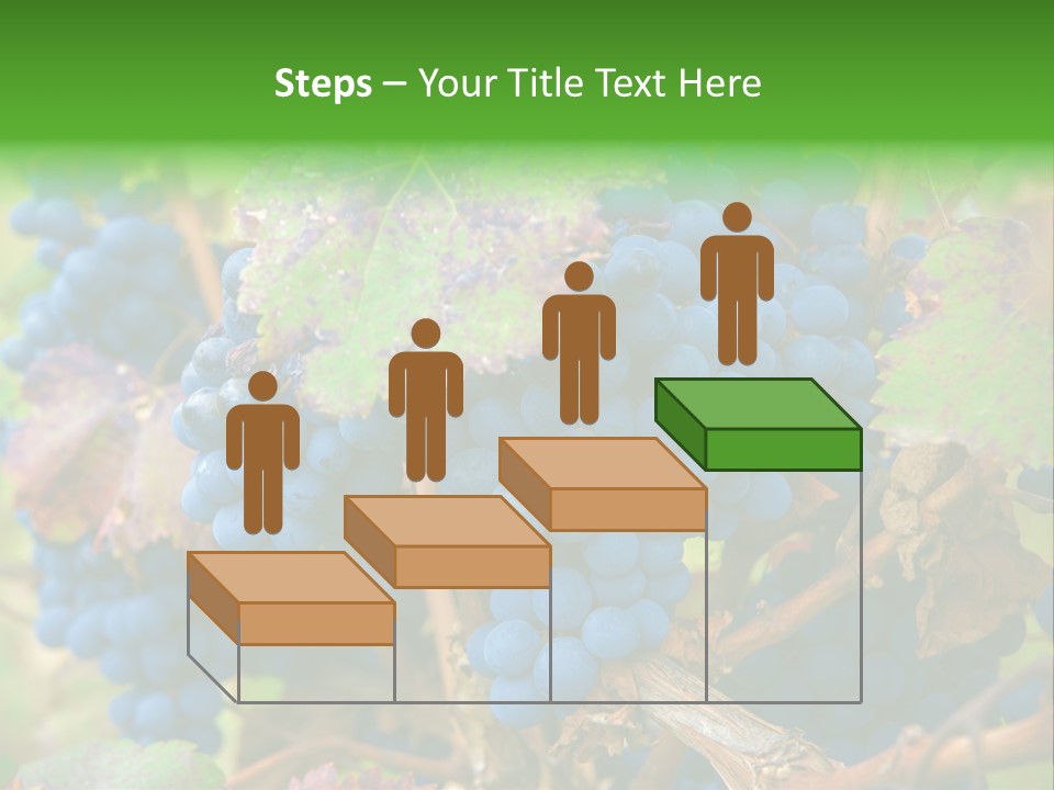 Variety Sweet Mendoza PowerPoint Template