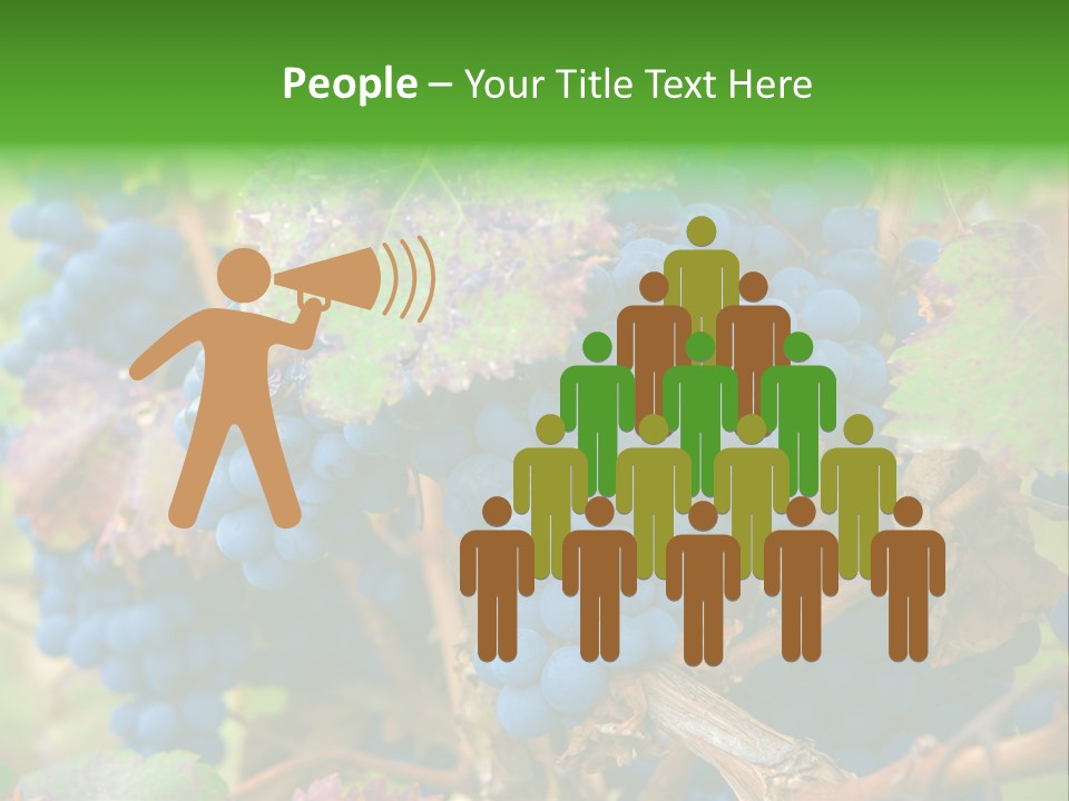 Variety Sweet Mendoza PowerPoint Template