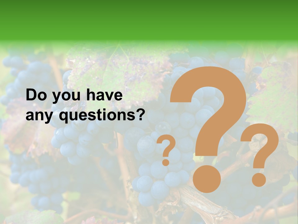 Variety Sweet Mendoza PowerPoint Template