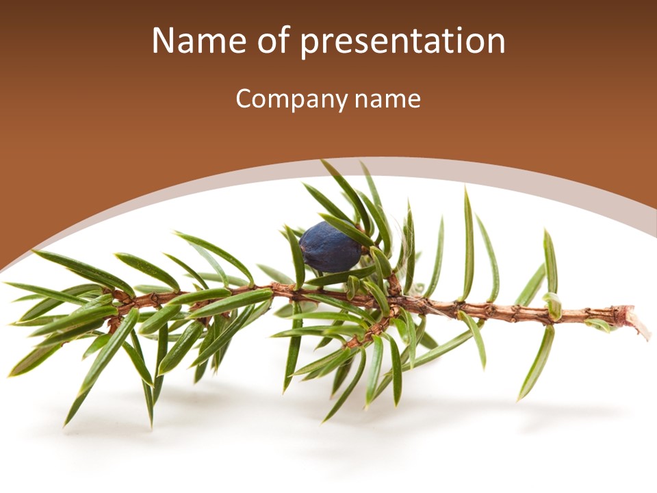 Shrub Nobody Berries PowerPoint Template