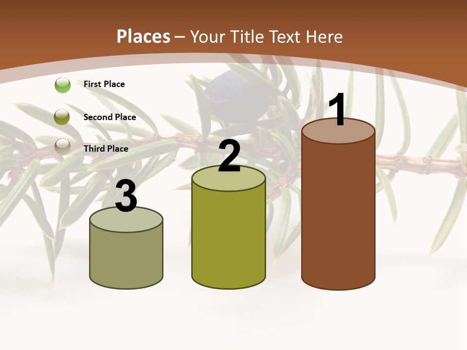 Shrub Nobody Berries PowerPoint Template