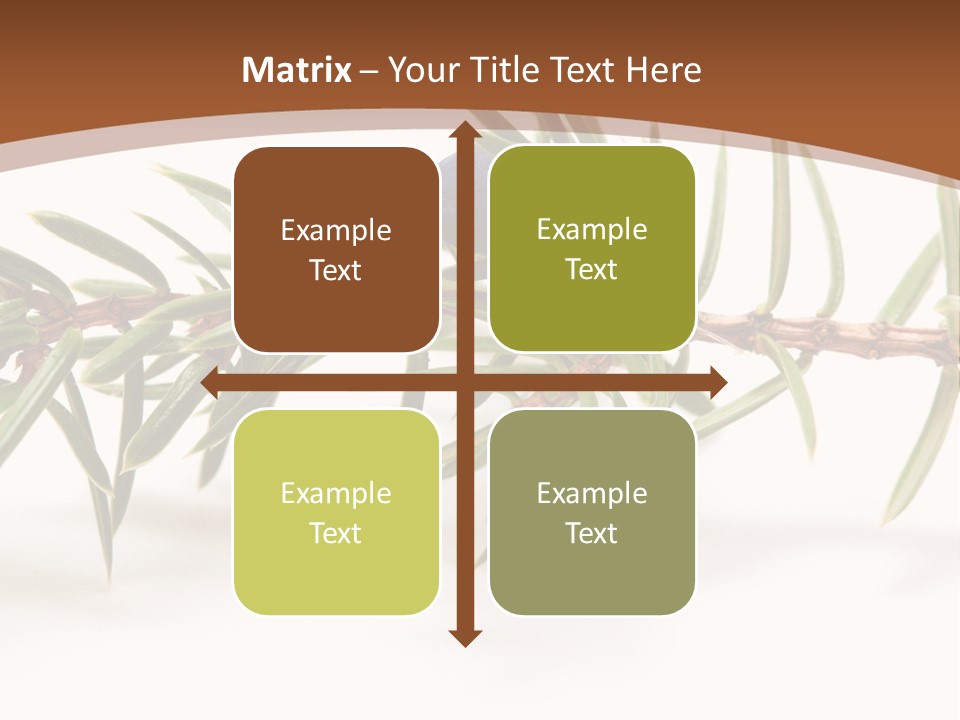 Shrub Nobody Berries PowerPoint Template