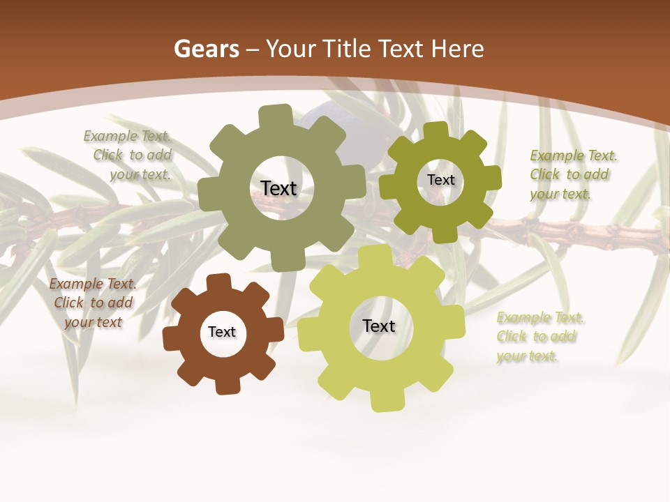 Shrub Nobody Berries PowerPoint Template