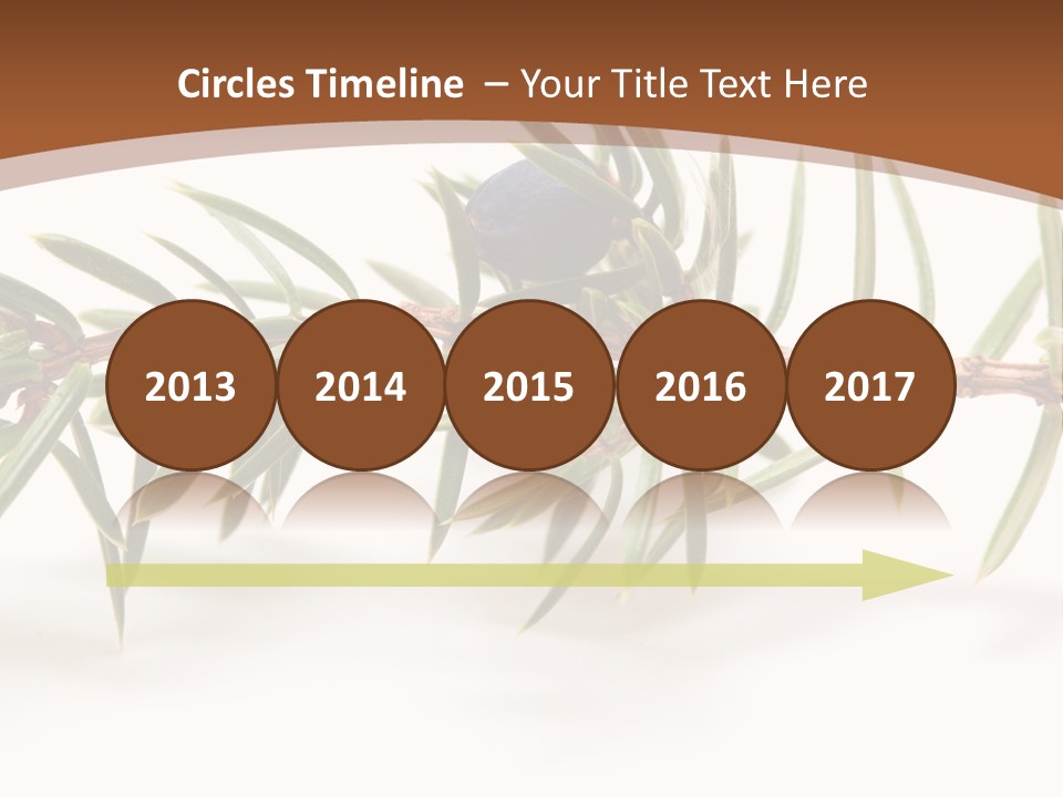 Shrub Nobody Berries PowerPoint Template