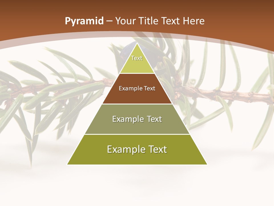 Shrub Nobody Berries PowerPoint Template