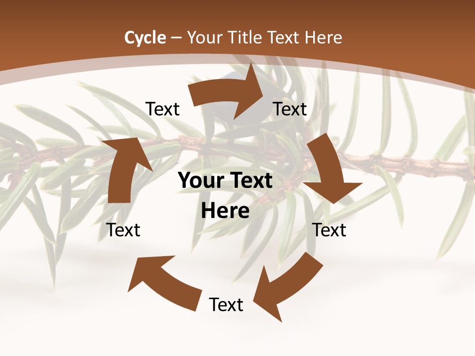 Shrub Nobody Berries PowerPoint Template