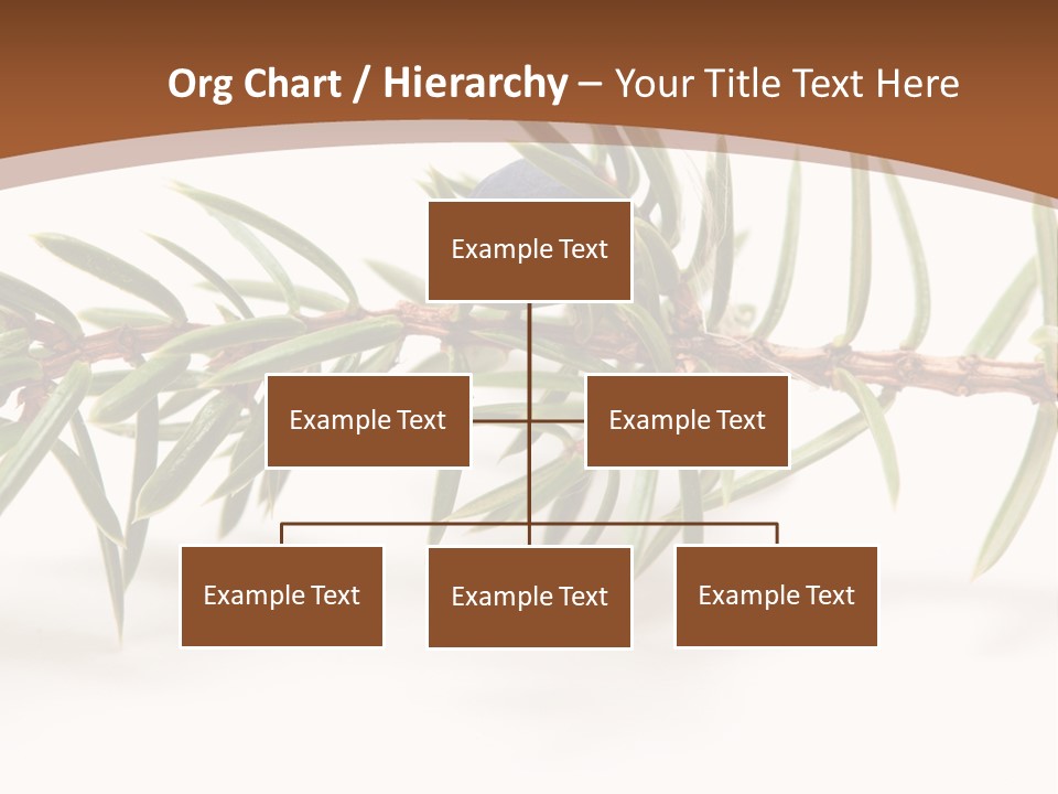 Shrub Nobody Berries PowerPoint Template