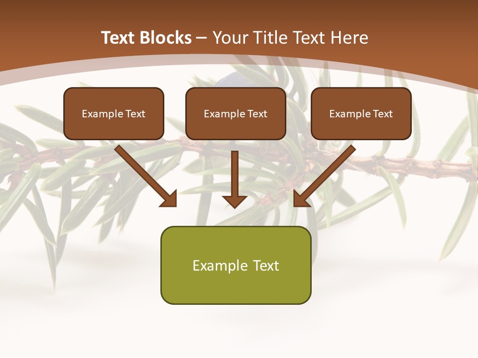 Shrub Nobody Berries PowerPoint Template