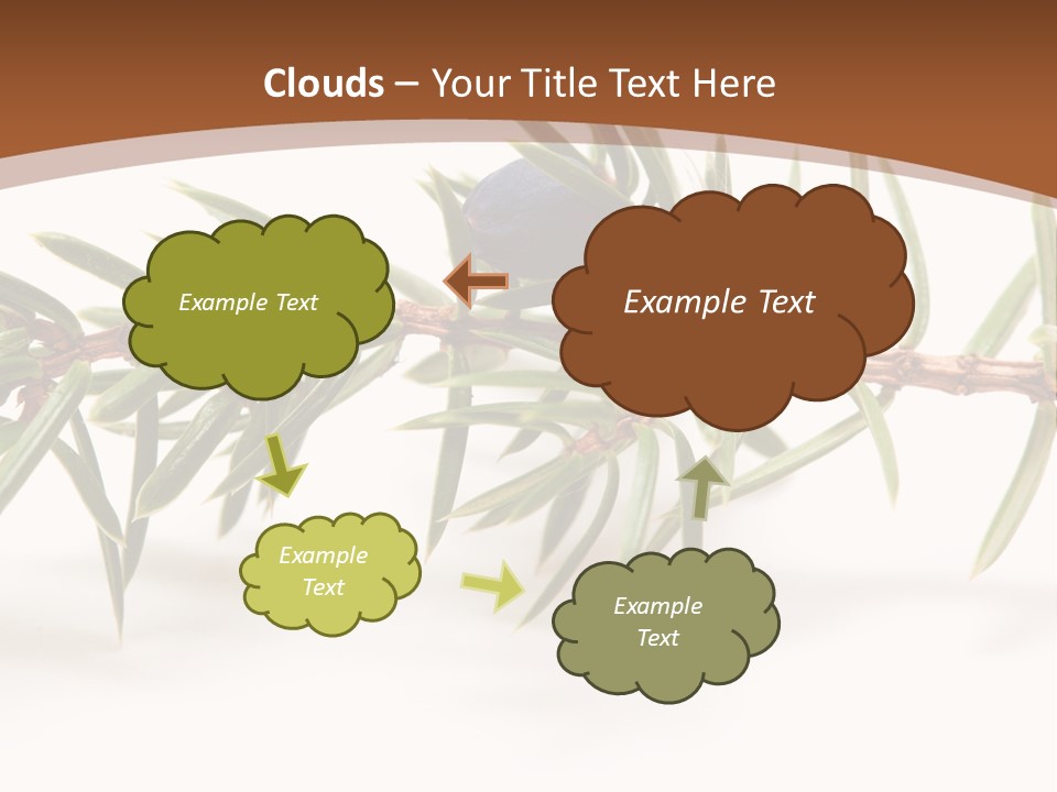Shrub Nobody Berries PowerPoint Template